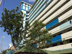 Blk 205 Toa Payoh North (Toa Payoh), HDB 3 Rooms #85501522